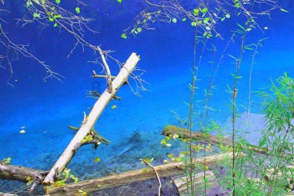 牛油果面包