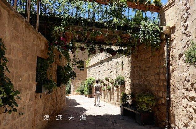 高级定制
