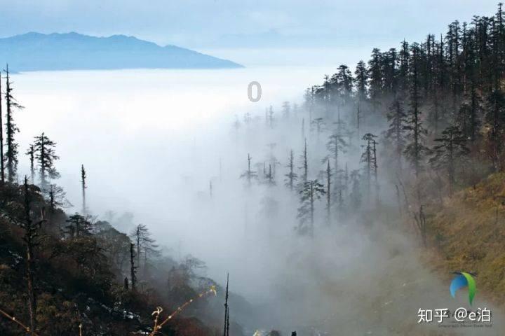 伊森卡特的消失