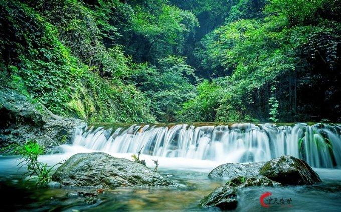 逃离荒废丛林屋